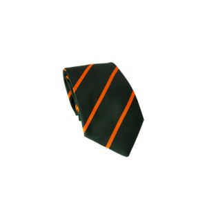 Devon and Dorset Regement Striped Tie
